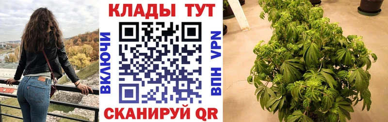 Где купить наркотики Ветлуга Гашиш Марихуана Меф мяу мяу
