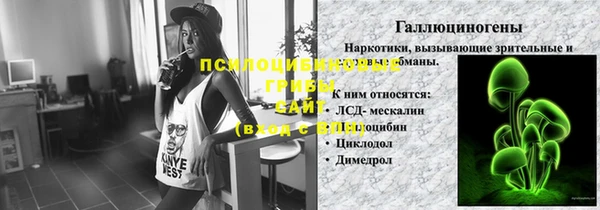 мет Пересвет