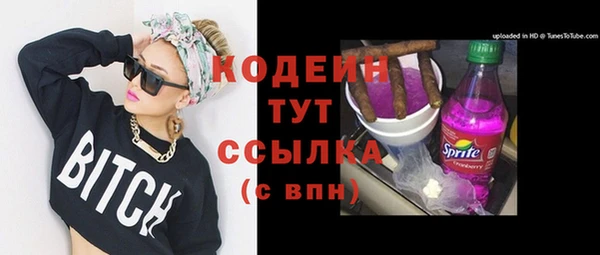 мет Пересвет
