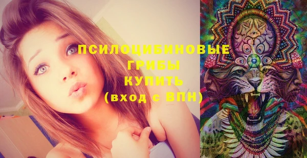 mdpv Переславль-Залесский