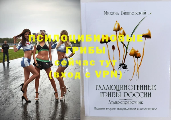 мет Пересвет
