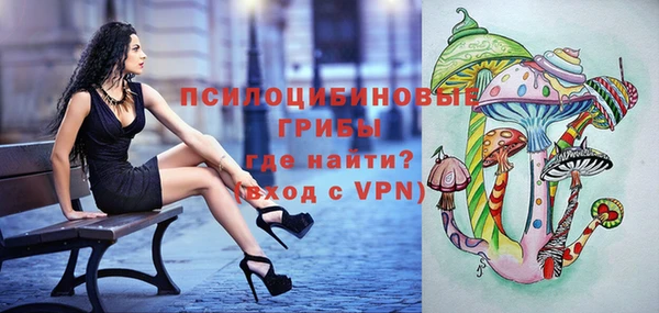 мет Пересвет