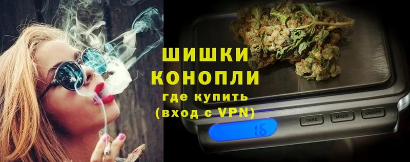 Бошки Шишки гибрид  Ветлуга 